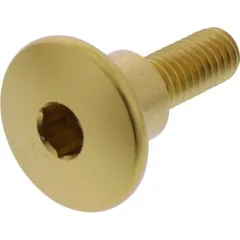 Linsenschraube JMP Bolt LFB622COLLG