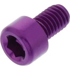 Hex socket cap screw probolt LPB610P