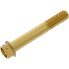 Hex bolt probolt LHX1065FRGE