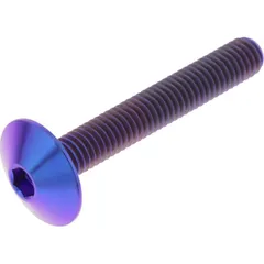 Linsenschraube