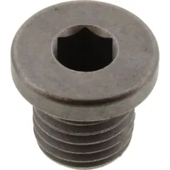 Screw lock (orig spare part)