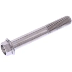 Schraube 6 Kant M10 x 1. 25 mm 65 mm Edelstahl V4A passend für: Triumph Tiger, Street Triple, Speed Triple