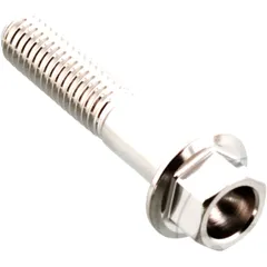 Stainless Steel Hex Bolt M6X1 30mm A4
