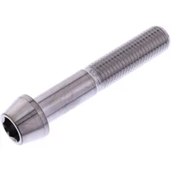 Innensechskantschraube M10 x 1.25 mm 55 mm Edelstahl V4A
