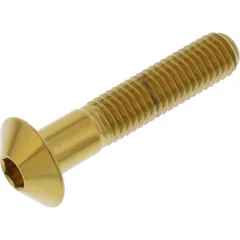 Linsenschraube LSSFB840G