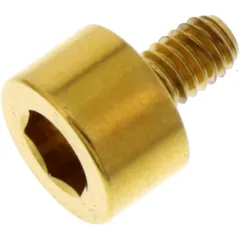 Schraube Tankdeckel LSSH465G