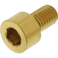 Hex socket cap screw jmp LSSPB610G