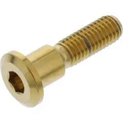 Schraube Bremsscheibe LSSDISCGSXRG