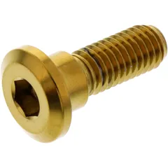 Schraube Bremsscheibe M8X1. 25 mm 24 mm Edelstahl V4A gold passend für: Honda CB, VT, TRX