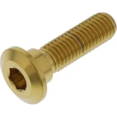 Schraube Bremsscheibe LSSDISCKAWSUZG