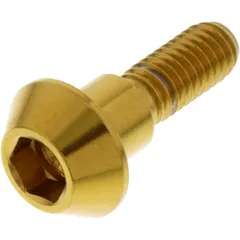 Schraube Bremsscheibe LSSDISCSUZ10G