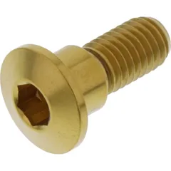 Brake disc screw jmp LSSDISCSUZ20G
