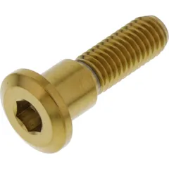 Schraube Bremsscheibe LSSDISCTRIFRG