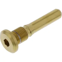 Schraube Bremssattel LSSSPHO24G