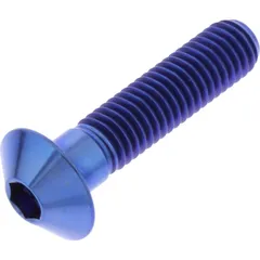 Linsenschraube TIFB835B
