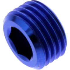 Stopfen Gleitstift M10X1 mm Titan blau passend für: Kawasaki Z, KX, KLX