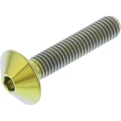 Dome head bolt jmp TIFB525G