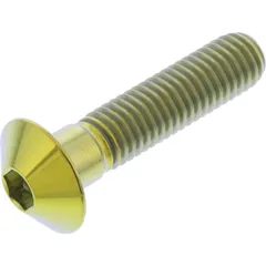 Linsenschraube TIFB835G
