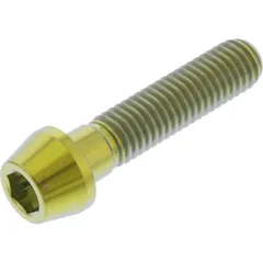 Schraube konisch TISC835G