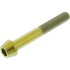 Schraube konisch TISC855G