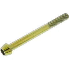 Schraube konisch TISC880G