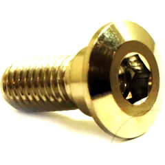 Brake Disc Screw JMP M8X1.25 mm 20 mm Stainless Steel A4 for Motorcycle