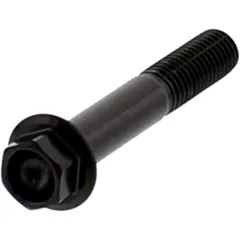 Stainless Steel Hex Bolt M8X1.25 50MM Black