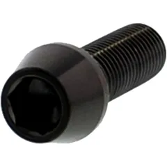 M10 x 1.25 mm 30 mm Schwarze Edelstahlschraube V4A