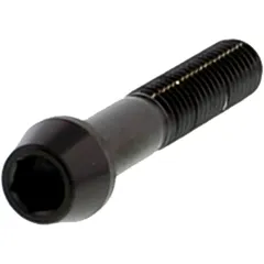 Cone Head Bolt M8X1.25MM 45MM Stainless Steel A4 Black