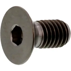 Countersunk Bolt Titanium M5X0.8 mm for Motorcycles