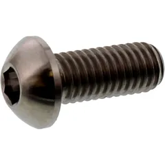 Brake disc screw JMP bolt M8X1. 25mm 20mm titan for: Ducati Monster, Scrambler, Multistrada
