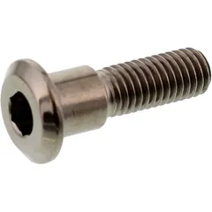 Schraube Bremsscheibe JMP Bolt M8X1. 25 mm 30 mm Titan passend für: Triumph Tiger, Bonneville, Street Triple