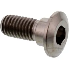 Brake Disc Screw JMP Titanium M8X1.25mm 20mm for Motorcycles