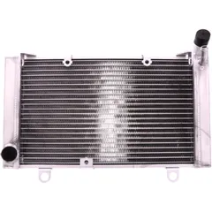 Radiator JMP for: Honda CBF 7760263