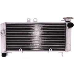 Radiator JMP for: Honda CBF 7760268