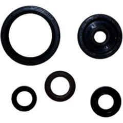 Wellendichtring Satz für Motoren 7790447