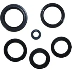 Engine oil seal kit P400250400018