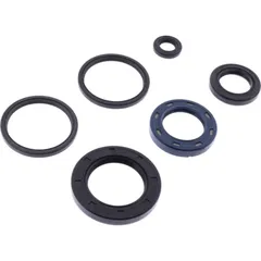Shaft seal set athena P400210400231
