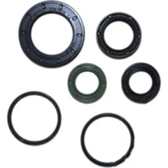 Engine oil seal kit P400480400011