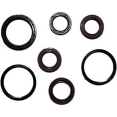 Engine oil seal kit P400480400126