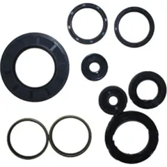 Engine oil seal kit P400485400068