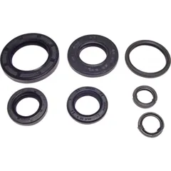 Engine oil seal kit P400210400284