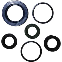 Engine oil seal kit P400480400007