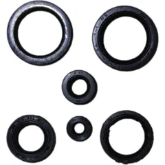 Engine oil seal kit P400210400196