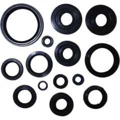 Engine oil seal kit P400250400029