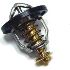 Thermostat TMT106