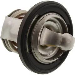 Thermostat (orig spare part) 490541003