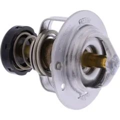 Thermostat (orig spare part) 490541068