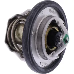 Thermostat (orig spare part) 49054S006