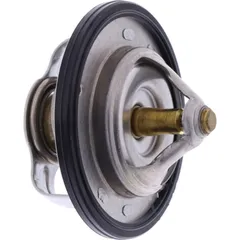Thermostat (orig spare part) 3GM1241000
